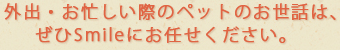 外出・お忙しい際のペットのお世話は、ぜひSmileにお任せください。