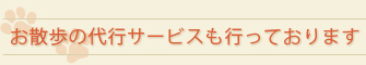 お散歩の代行サービスも行っています